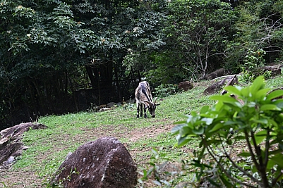 DSC_5304.jpg