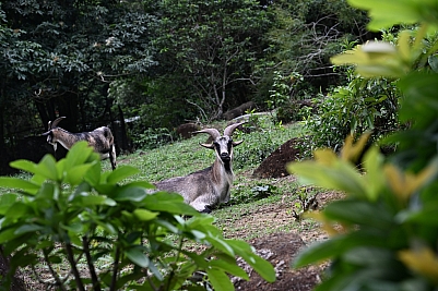 DSC_5305.jpg