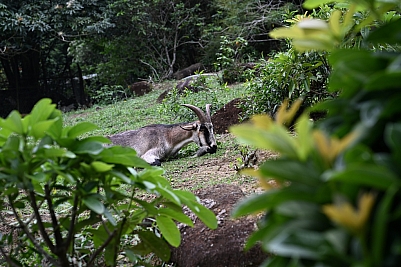 DSC_5307.jpg