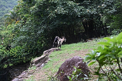 DSC_5308.jpg