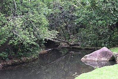 DSC_5320.jpg