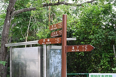 DSC_5341.jpg
