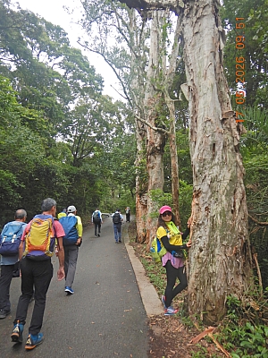 DSCN1404.jpg