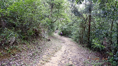 _DSF0078.jpg