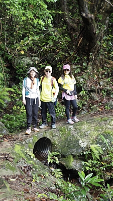 P5170081.jpg