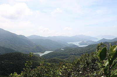 IMG_5851.JPG