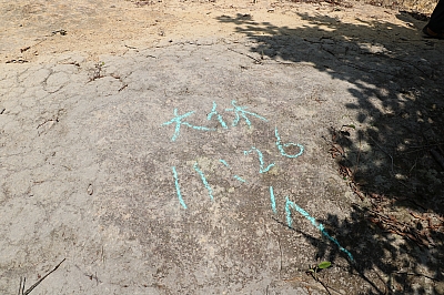 IMG_6427.JPG