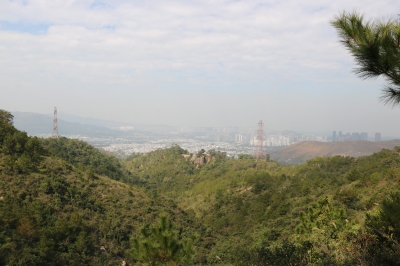 IMG_6645.JPG