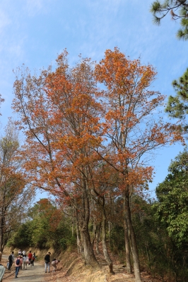 IMG_6713.JPG