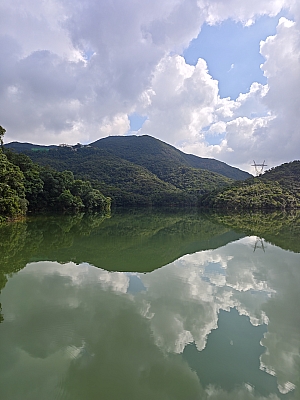 IMG_1685.jpg